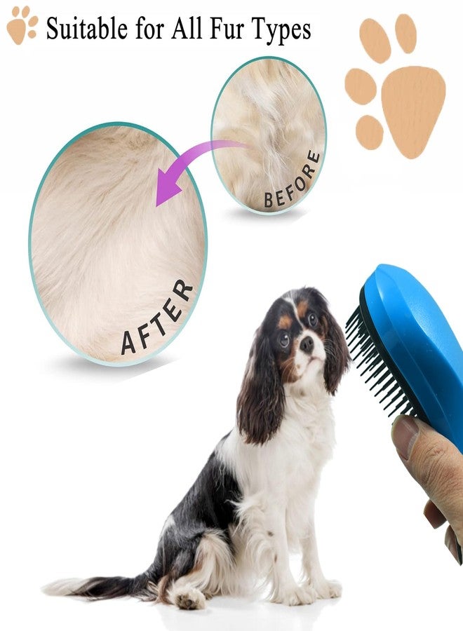 DEEUCHIS Small Dog Brush, Soft Pet Grooming Brush for Shih Tzus, Yorkies, Maltipoos, Maltese, Puppy Massaging Hair Brush, Cat Brush, for Small Animals Rabbits of All Hair Types (Blue) - Image 5